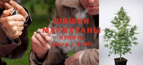 apvp Абаза