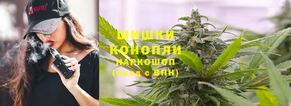 гидра Вязники