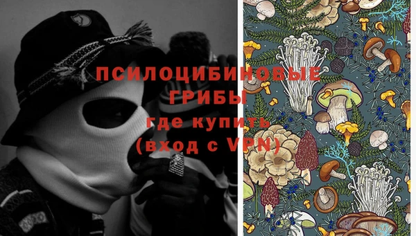 apvp Абаза