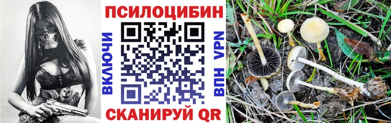 Галлюциногенные грибы Psilocybine cubensis  магазин продажи   Подпорожье 